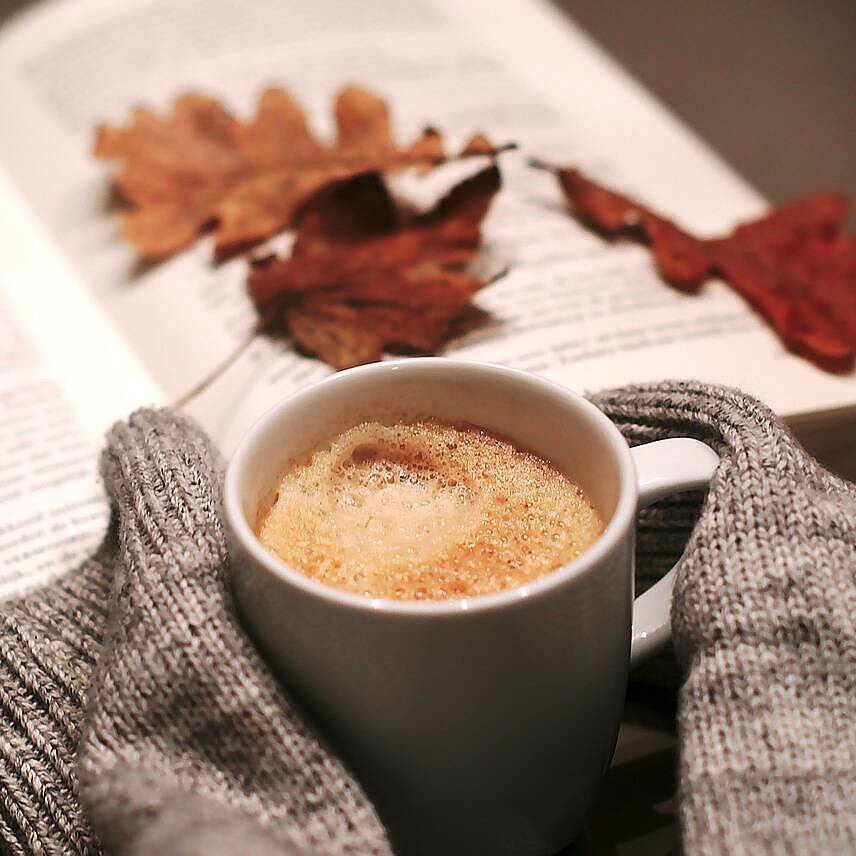 Quelle: Melk Hagelslag auf Pixabay